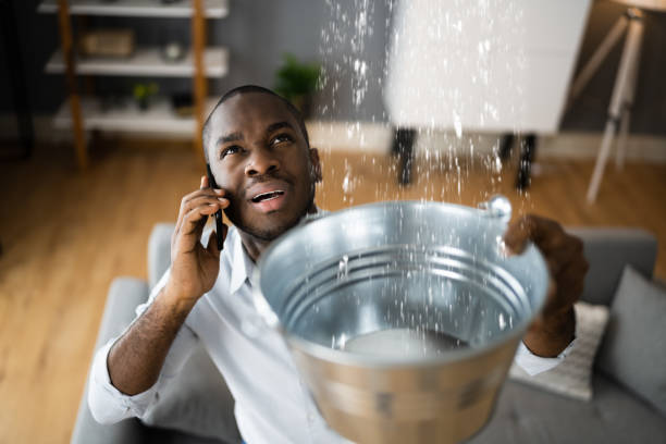 Best Ceiling water damage repair  in West Ocean City, MD