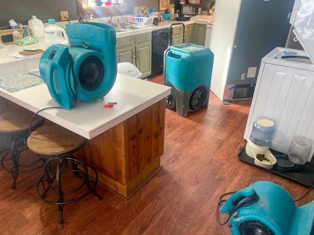 Best Sewage cleanup and water damage restoration  in West Ocean City, MD