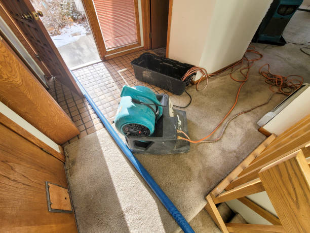 Best Residential water damage restoration  in West Ocean City, MD