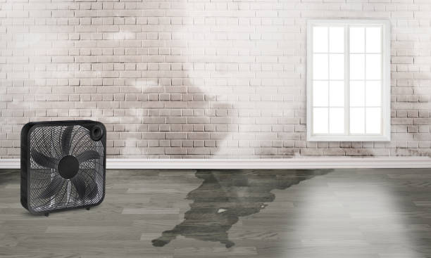 Best Residential water damage restoration  in West Ocean City, MD
