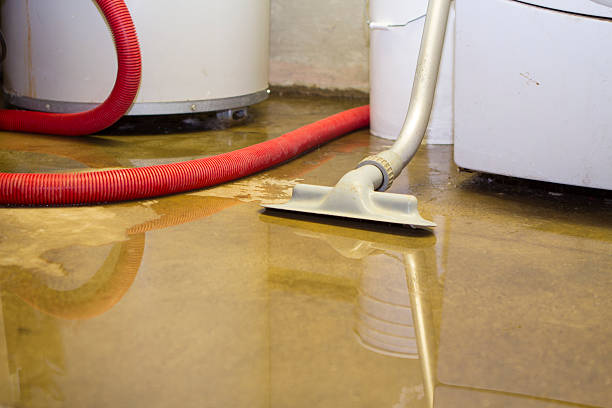 Best Flooded house restoration  in West Ocean City, MD